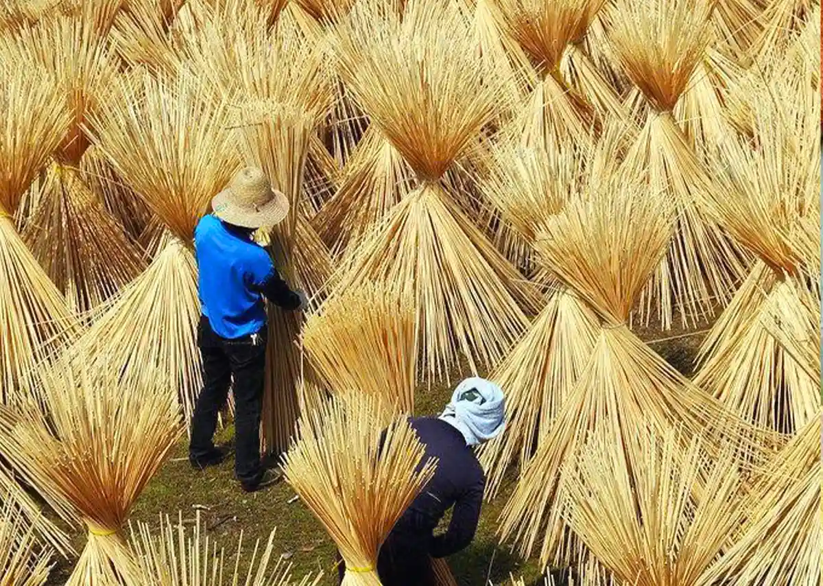chiếu cói việt lằn ranh giữa tồn tại và lãng quên