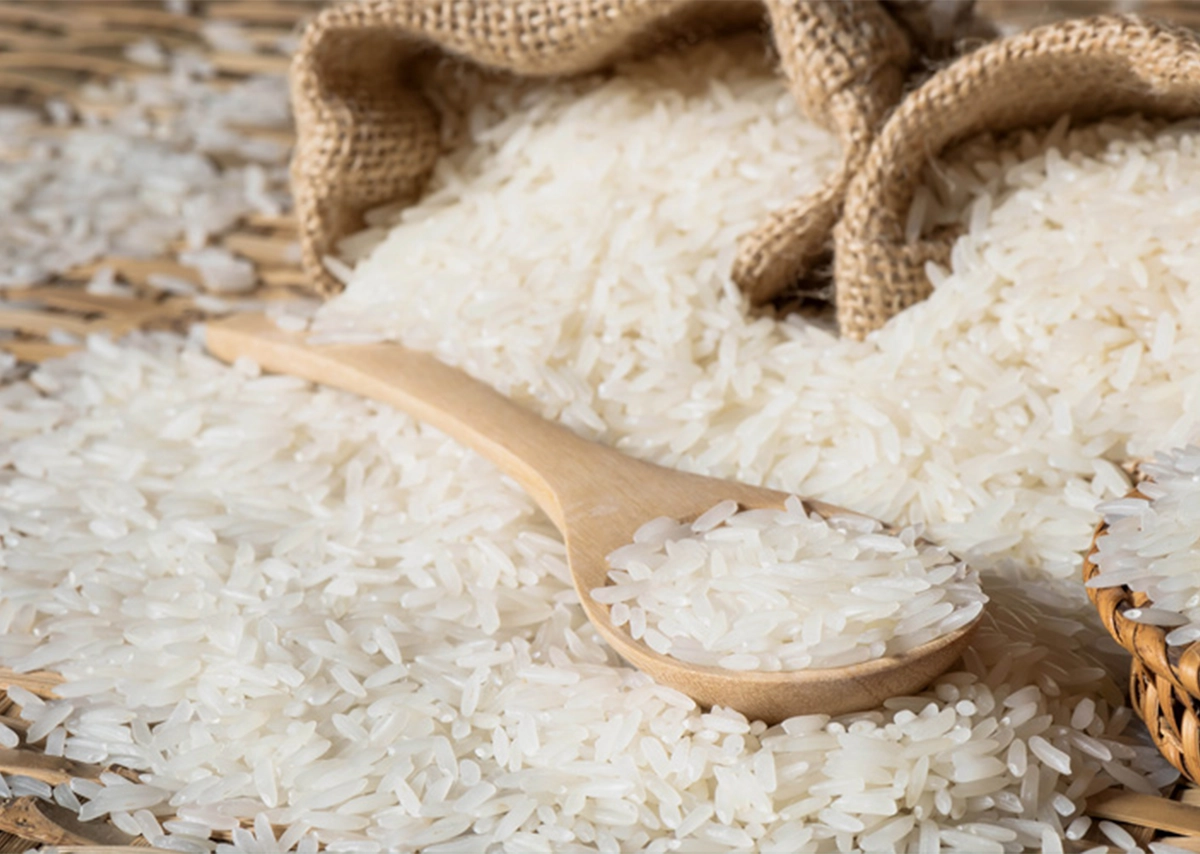 ST25 – Hạt gạo kể chuyện bản lĩnh và trí tuệ Việt