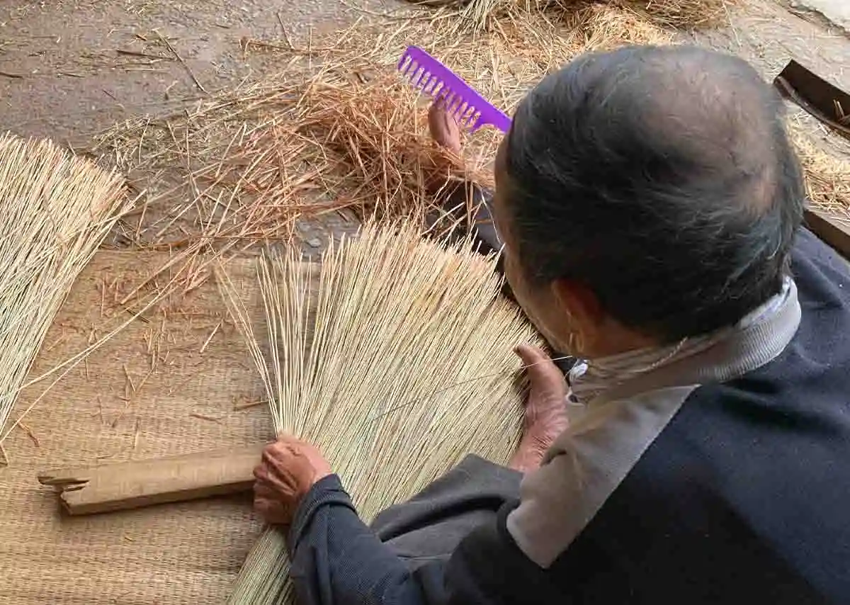 chiếu cói việt lằn ranh giữa tồn tại và lãng quên