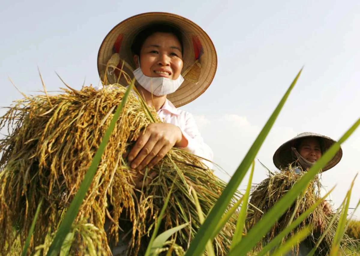 Những Người Thợ Làm Nên Kỳ Tích Giữa Làng Quê Việt