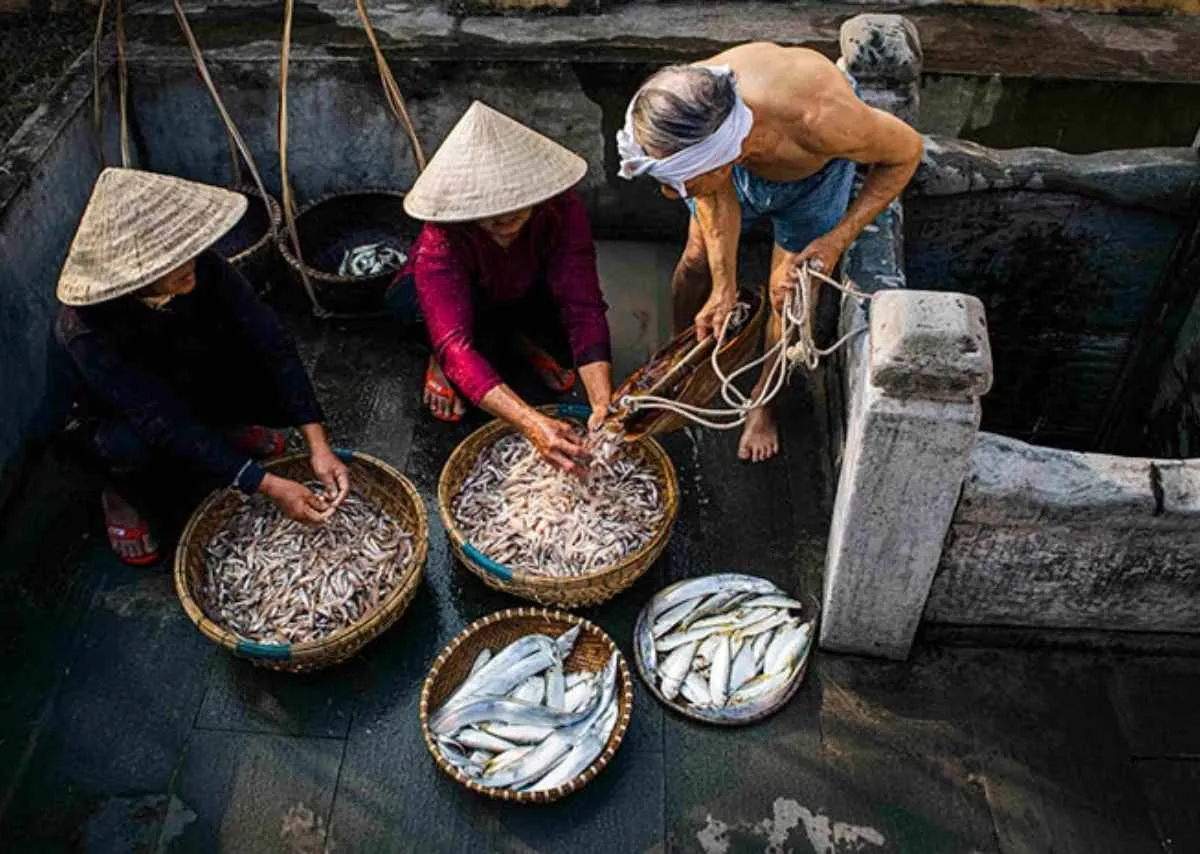 Giọt mắm Nam Ô – Nơi thời gian lên men cùng vị biển