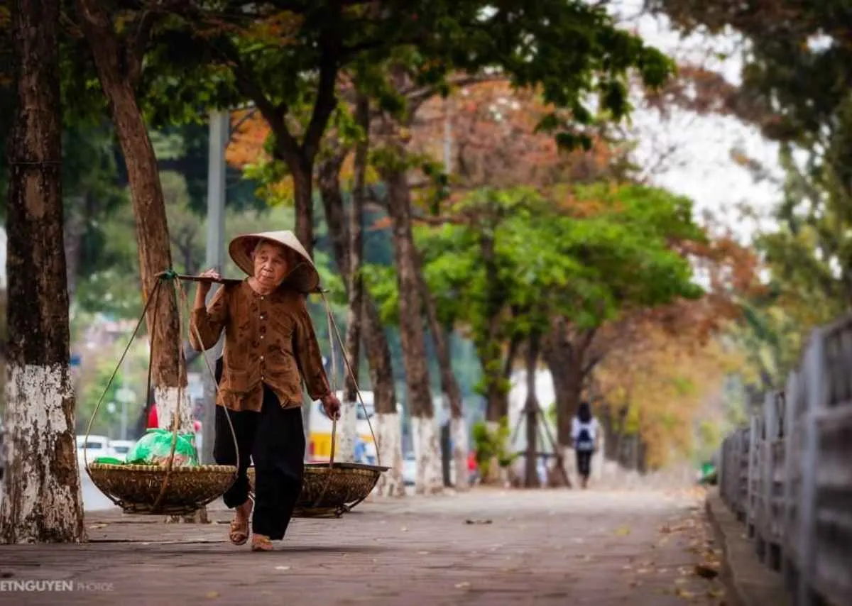 Tiếng rao hàng rong – Hơi thở bình dị của buổi sáng Hà Nội