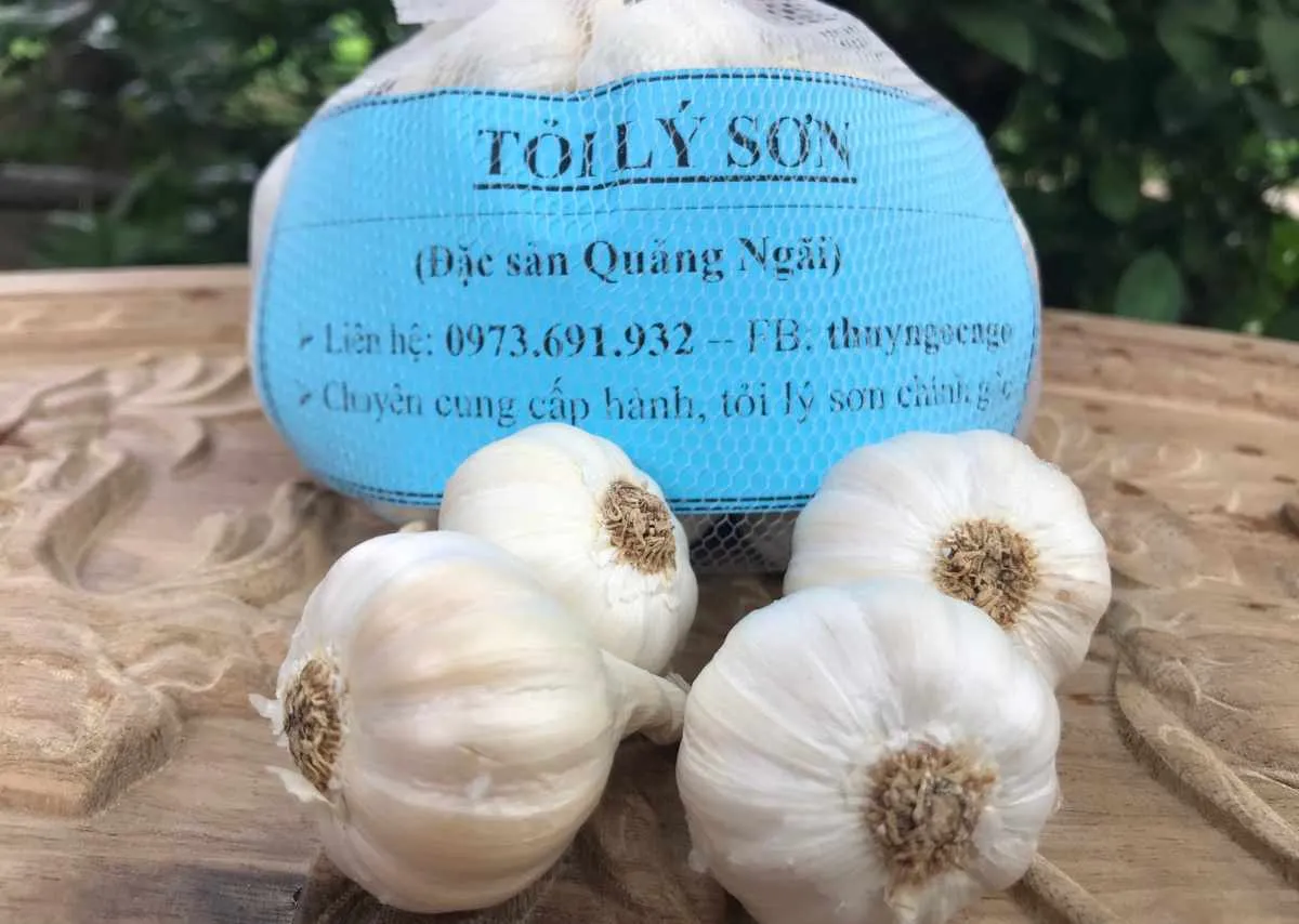 Giữa biển khơi, họ gieo trọn nửa năm tuổi trẻ vào từng luống tỏi