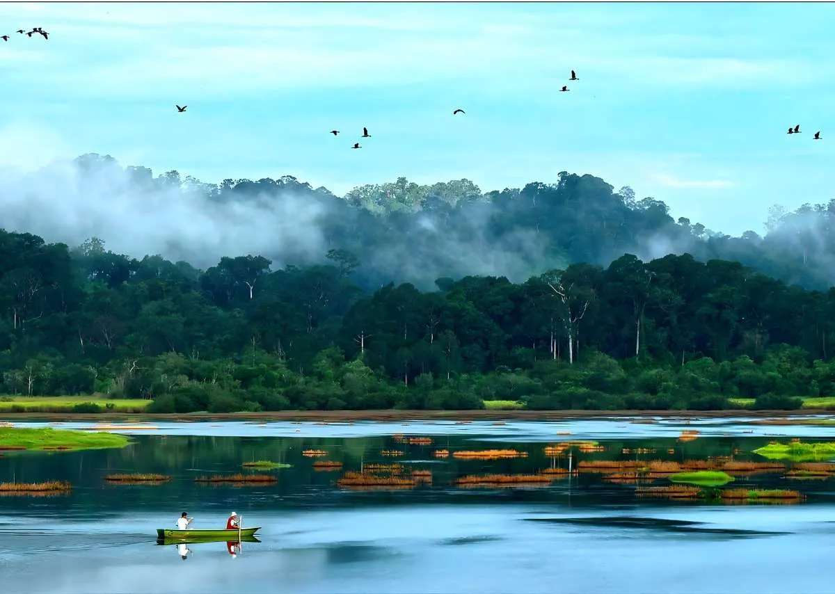 Vườn quốc gia Cát Tiên – Kho báu xanh giữa lòng Đông Nam Bộ